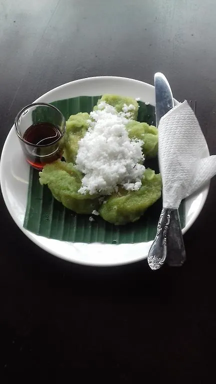 Tegar Guest House Ubud 2*,  Indonesien