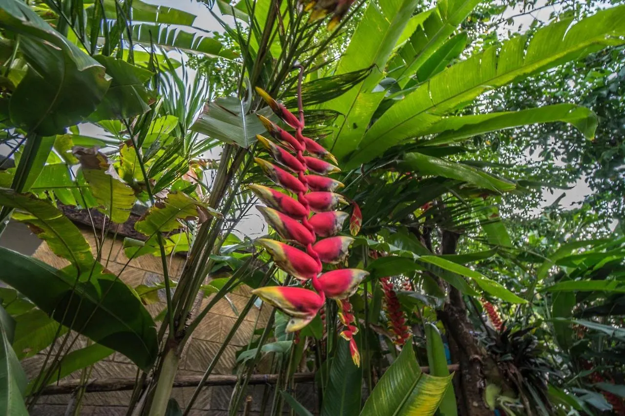 Tegar Guest House Ubud  Ubud (Bali)